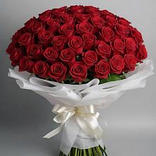 Букет 101 Красная роза Блэк Мэджик в Яковлево