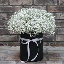 Цветочная композиция из Гипсофила в шляпной коробке #REPLACE_PRED# Яковлево