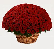 Премиум букет из: Розы в Яковлево